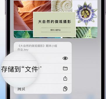 广灵apple维修中心分享iPhone文件应用中存储和找到下载文件