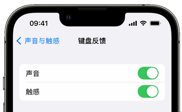 广灵苹果手机维修分享iPhone 14触感键盘使用方法 