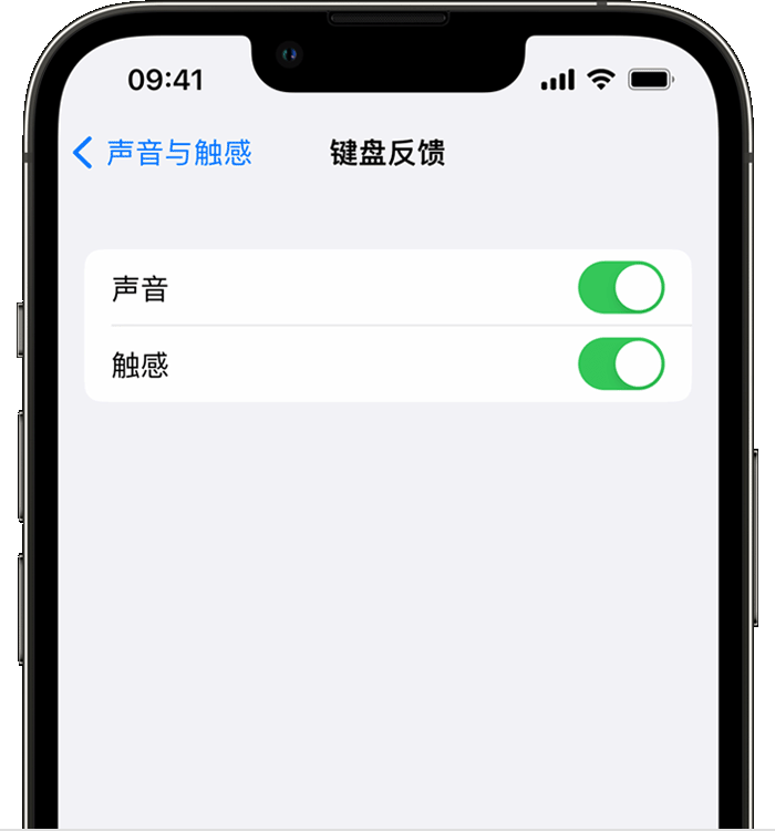 广灵苹果14维修店分享如何在 iPhone 14 机型中使用触感键盘 