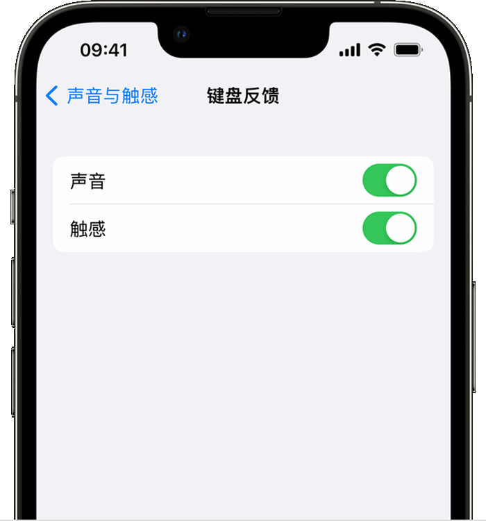 广灵苹果14维修分享iPhone 14 系列机型如何开启键盘声音或触感反馈 