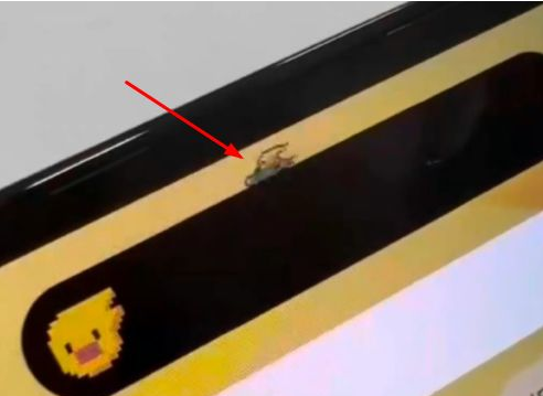 广灵苹果14维修分享iPhone 14 Pro Max灵动岛怎么养宠物 