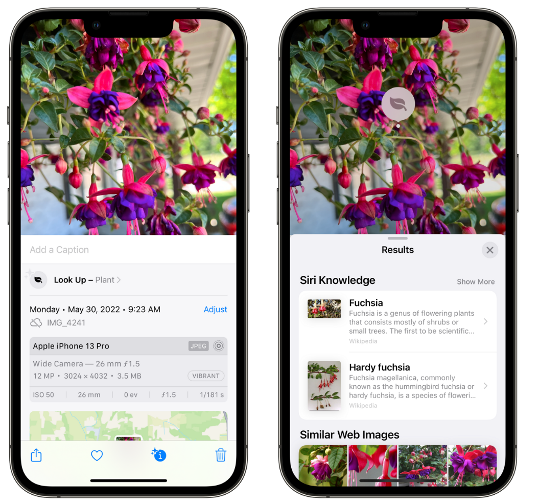 广灵苹果手机维修分享小技巧：使用 iPhone 相机识别花卉植物 