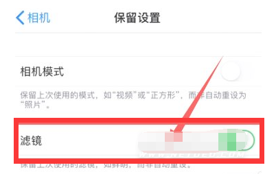 广灵苹果13维修分享iPhone13拍照有绿点是怎么回事 