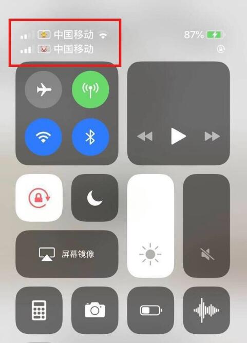 广灵苹果手机维修分享为 iPhone 12 双卡设置标签 