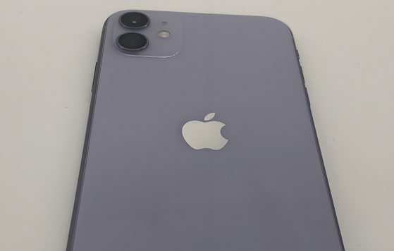 广灵苹果11系统维修分享iPhone11手机系统崩溃无法开机如何解决 